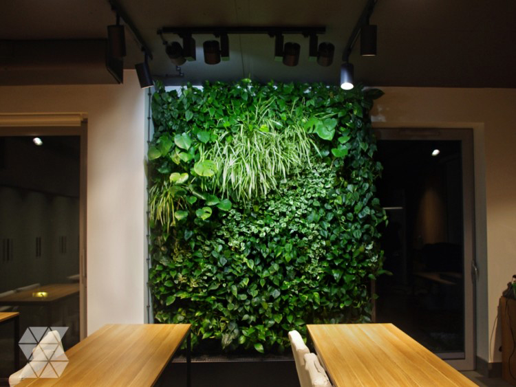 Green Wall_1a.jpg